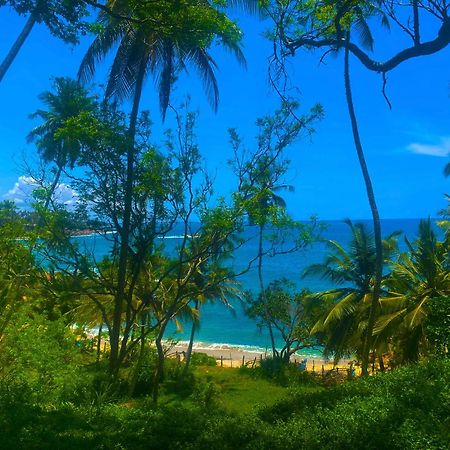 Bluewind Resort Tangalle Kültér fotó