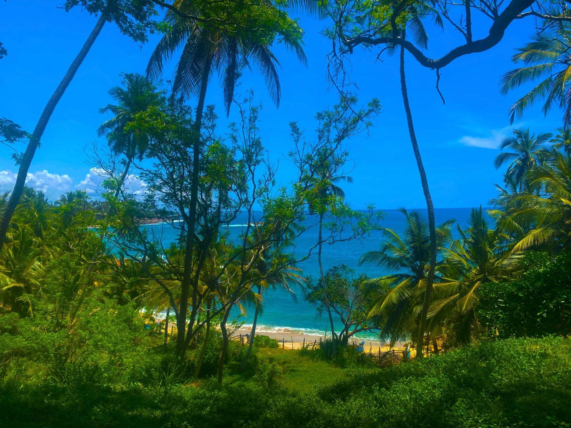 Bluewind Resort Tangalle Kültér fotó