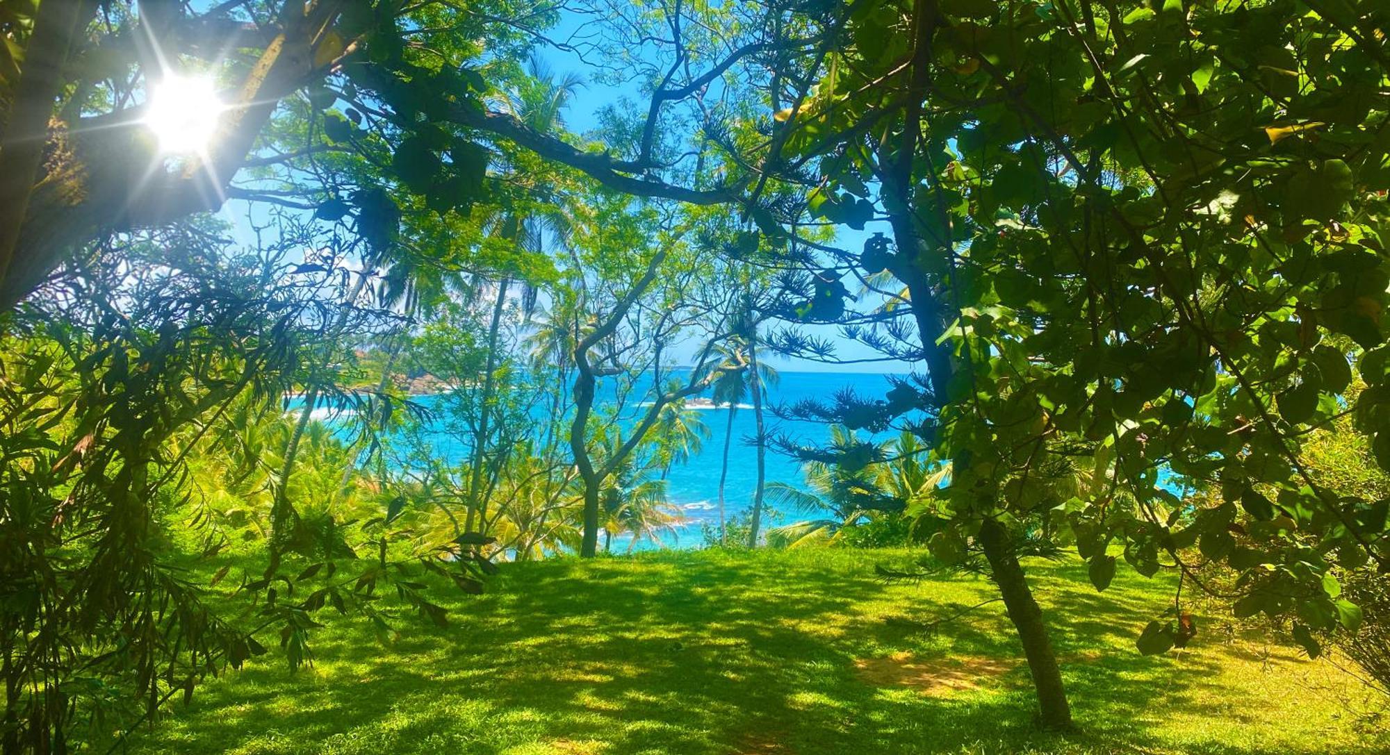 Bluewind Resort Tangalle Kültér fotó