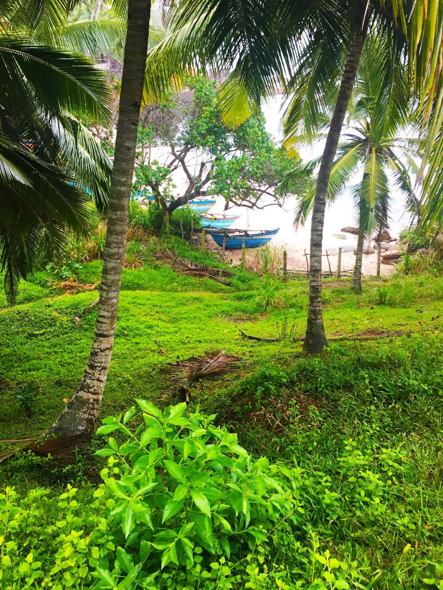 Bluewind Resort Tangalle Kültér fotó