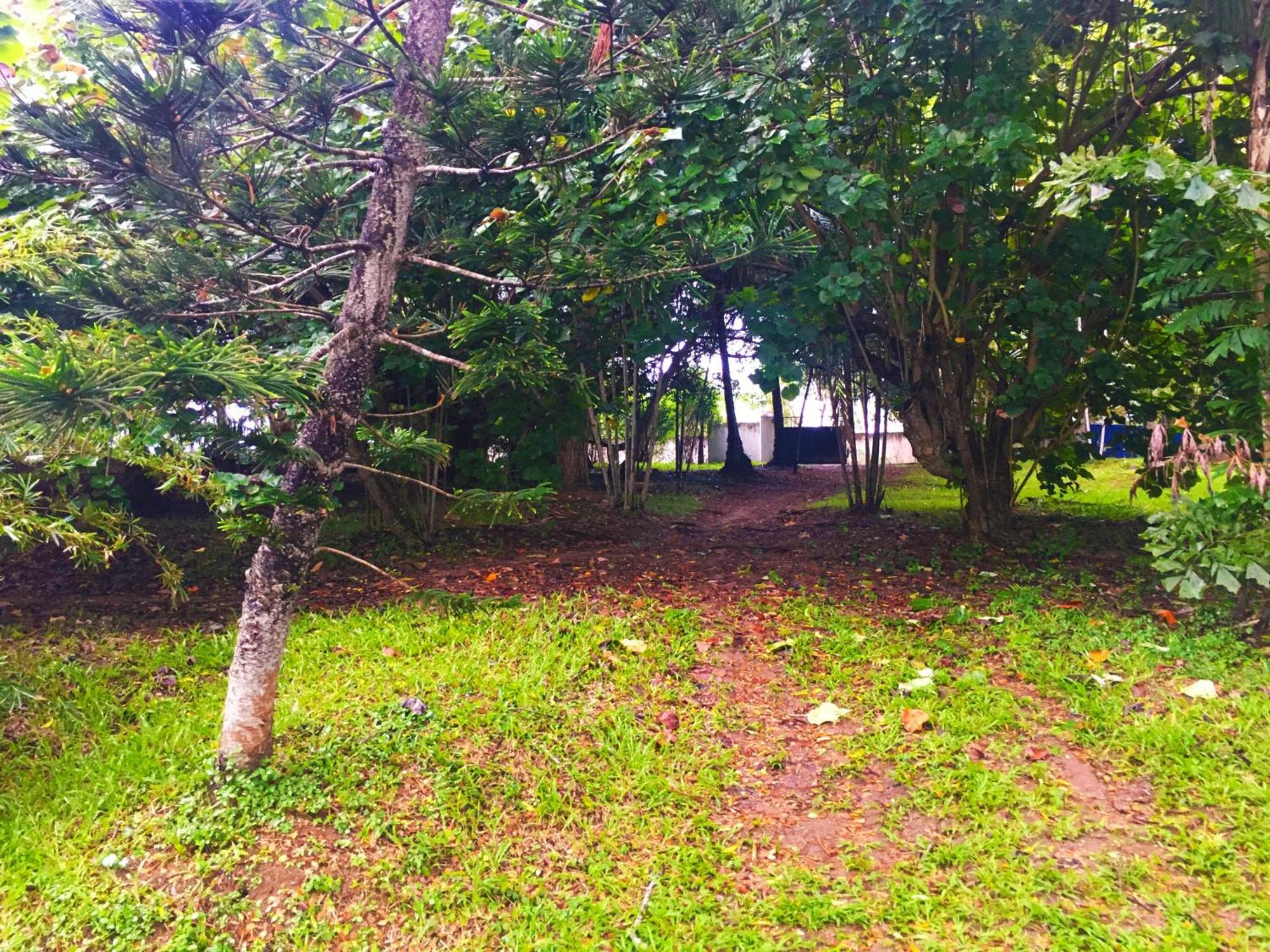Bluewind Resort Tangalle Kültér fotó